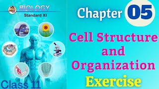 Cell Structure And Organization class 11 biology chapter 5 exercise solutions [upl. by Khalin]