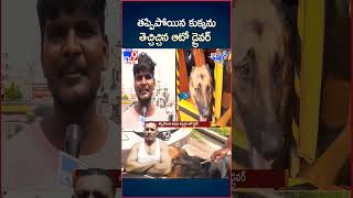 green screen dog satishcheva tv9telugu latestnews autodriver reels [upl. by Nnyl857]