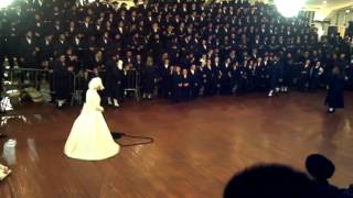 Spinka Rebbi Tangling Kallah at Mitzvah Tantz FUNNY [upl. by Yendys7]