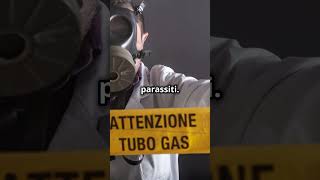 Linvenzione dello Zyklon B ☢️ reels shorts facts viralshorts viralvideo military gas smoke [upl. by Yrocal]