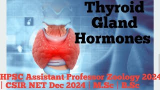 Thyroid gland hormones  endocrine system  endocrine physiology  thyroxin  calcitonin [upl. by Gintz]