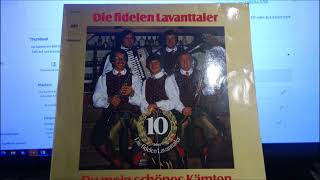 FIDELEN LAVANTTALER FIDELEN musikanten [upl. by Ri963]