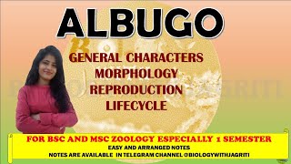 ALBUGO MORPHOLOGY REPRODUCTION LIFECYCLE BSC MSC ZOOLOGY 1SEMESTER BIOLOGYWITHJAGRITI [upl. by Nelrac674]