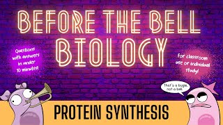 Protein Synthesis Before the Bell Biology [upl. by Soisinoid]