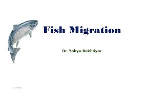 21 Fish Migration Types Causes and Advantages of migration [upl. by Nemraciram]