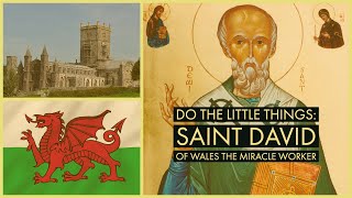 Do the Little Things Saint David of Wales the Miracle Worker [upl. by Wertz183]