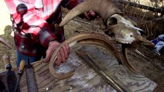 Wyomings Tom Lucas Making Sheep Horn Bows [upl. by Salita]