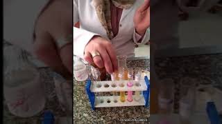 Enzymes Experiment Amylase Iipase Pepsin and Trypsin [upl. by Rizzi]