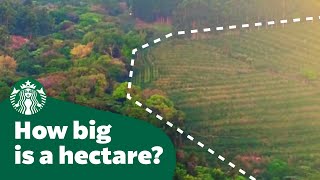 How big is a hectare [upl. by Graf]