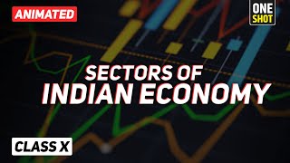 Sectors of Indian Economy class 10 full chapter Animation  Class 10 Economics Chapter 2 CBSE ep01 [upl. by Miun]