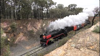 Deniliquin Riverlander with Steam Loco R707 [upl. by Wilscam]