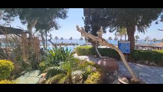 Coral Bay Beach Hotel amp Resort PaphosCyprus كورال باي قبرصبافوس [upl. by Alfonzo]