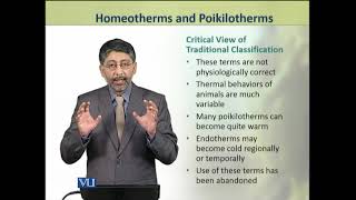 Homeotherms and Poikilotherms  Animal Physiology and Behavior Theory  ZOO502TTopic217 [upl. by Ateloj]