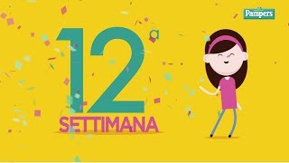 12° settimana di gravidanza [upl. by Uticas977]