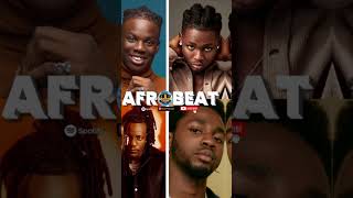 BEST OF THE BEST AFROBEATS amp AMAPIANO VIDEO MIX [upl. by Nnagem]