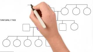 How to Draw a Family Tree  Part 2 Advanced [upl. by Eiggam]