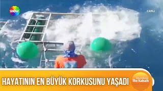 Köpekbalığı koruma kafesini kırdı [upl. by Elyc398]