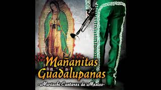 📀 Mañanitas Guadalupanas Disco Completo Mariachi Cantares De Mexico 📀 [upl. by Schubert]