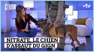 Dans les coulisses du GIGN  C l’hebdo  09122023 [upl. by Christel25]