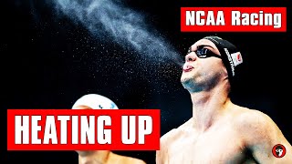 SwimSwam Breakdown Coaching Changes NCAA and Young Guns Firing [upl. by Pitts]