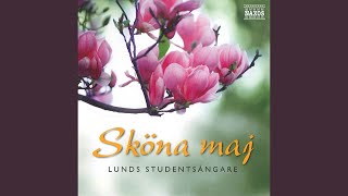 Majsång  Sköna maj välkommen [upl. by Jabin]