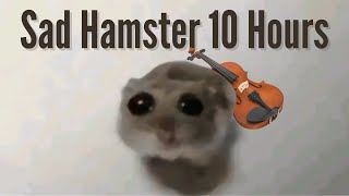 Sad Hamster Violin 10 Hours [upl. by Earal]