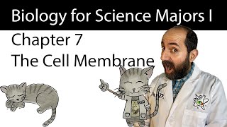 Chapter 7 – Membrane Structure and Function [upl. by Locke]