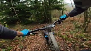 Grizedale forest off piste mtb [upl. by Allesig]