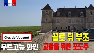 프랑스 교황이 즐겨마시던 부르고뉴 포도주 샤또 뒤 끌로 드 부조 Château du Clos de Vougeot 4K [upl. by Cassandra565]