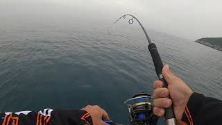 light jigging lost tuna live strike vlog43 [upl. by Prichard]