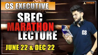 CS Executive  SBEC Marathon Part B [upl. by Rollet918]