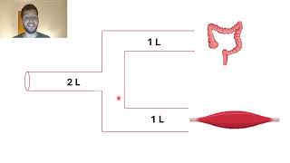 6resistance vasculaire et distrubition du débit [upl. by Telfore]