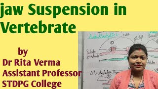 Jaw Suspension in Vertebrate for BSc MSc NEET UPSC Optional [upl. by Kayne511]