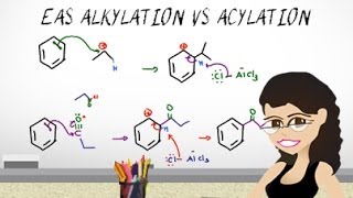 EAS Friedel Crafts Alkylation vs Acylation EAS vid 8 by Leah Fisch [upl. by Navap]