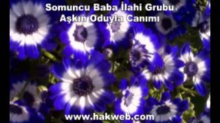 Somuncu Baba İlahi Grubu Aşkın Oduyla Canımı http www hakweb com YouTube [upl. by Yddet]