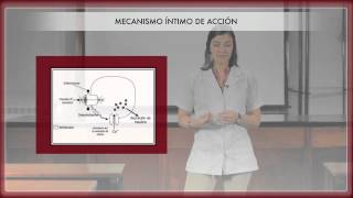 Farmacología de los hipoglucemiantes orales 1ª Parte [upl. by Berglund950]