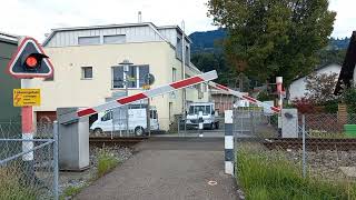 Bahnübergang Freienbach CH  Swiss Railroad Crossing [upl. by Anaeg125]