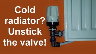 Radiator doesnt heat up Unstick the valve [upl. by Hatfield]