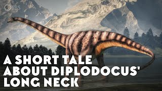 A Short Tale About Diplodocus Long Neck [upl. by Charil]