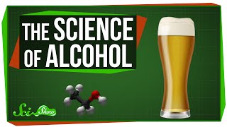 The Science of Alcohol From Beer to Bourbon [upl. by Aliac]