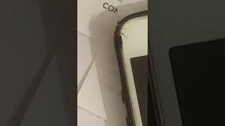 Earwig run around iPhone shortfeed insects ytshort nature savenature [upl. by Mellicent991]