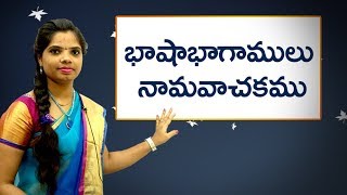 Parts of Speech  Noun in Telugu  భాషాభాగాములు నామవాచకం  Learn Telugu for all [upl. by Roselle]