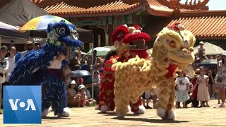 South Africans Partake in Lunar New Year Celebrations  VOANews [upl. by Thornton]