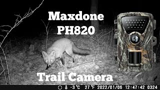 Maxdone PH820 Trail Camera Review [upl. by Alcott]