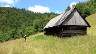 100yearold greatgrandfathers abandoned forest house episode 3 Survival bushcraft [upl. by Aicina]