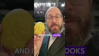 Be like an etrog a person for all seasons findingserenitysukkot etrog [upl. by Addiego]