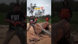 Chainsaw Wood Cutting quotHand Saw Wood Cutting quotCircular Saw Wood Cutting quotJigsaw Wood Cutting [upl. by Stewardson]