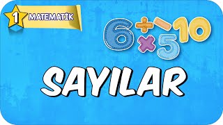 Sayılar 📘 1Sınıf Matematik 2025 [upl. by Bekelja]