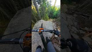 Love this trail Pro lines galore Have you watched the full video on my channel mountainbike [upl. by Adierf]