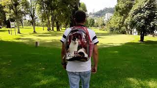 Mochila ó morral burbuja para pasear gatos [upl. by Enneira]